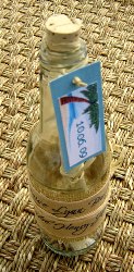 Message in a Bottle Wedding Invitations 01